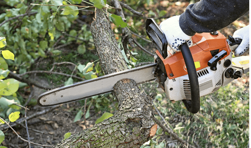 Tree Service